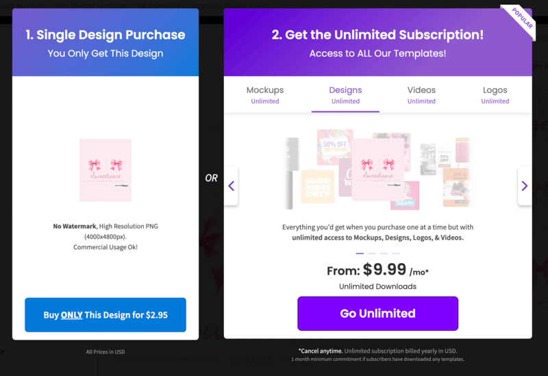 Placeit's Payment Options For Downloading An Ai Shirt Design