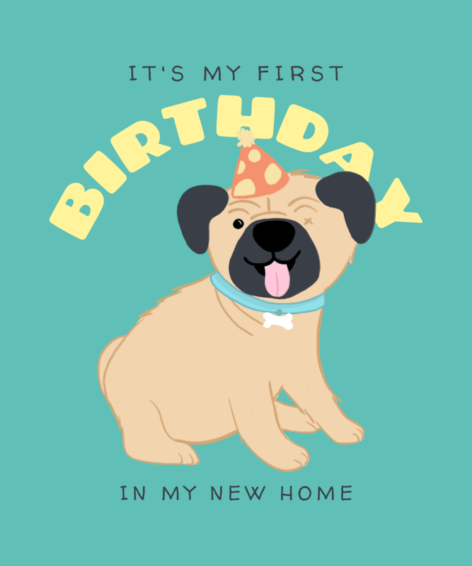 Illustrated T Shirt Design Creator To Celebrate A Dog's Birthday