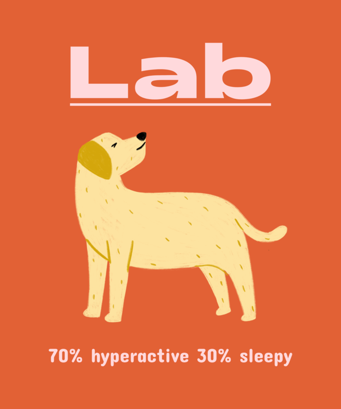 Pet Themed T Shirt Design Generator Featuring A Labrador Graphic