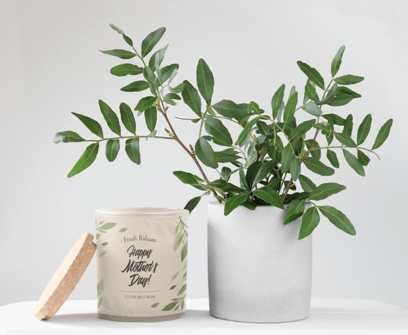 Candle Container Mockup Featuring A Plant