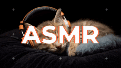 Intro Video Template With An AI Generated Cat Picture For An ASMR Channel