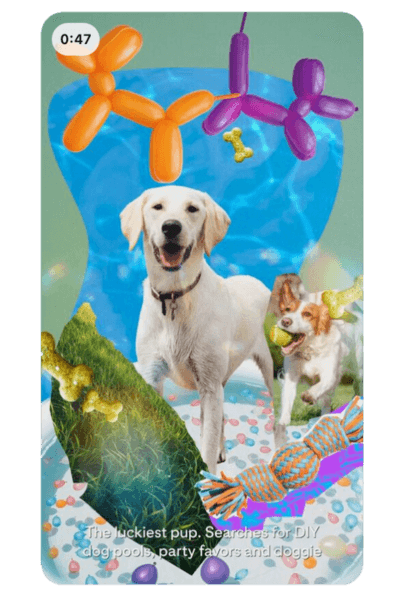 A Pretty Collage With Natural Elements And A Cute Dog Cover Image For A Pinterest Video