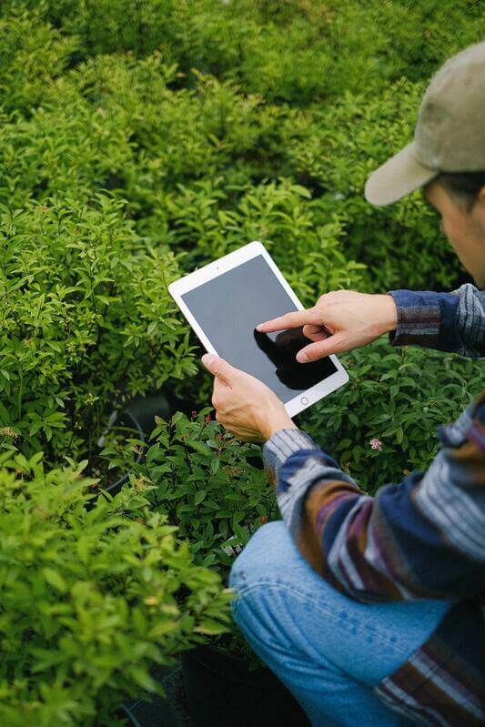 Landscape Designer Working With A Tablet By Pexels