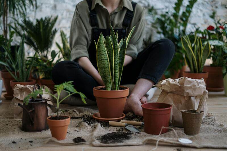 Photo Of Person Sitting Near Potted Plants By Pexels