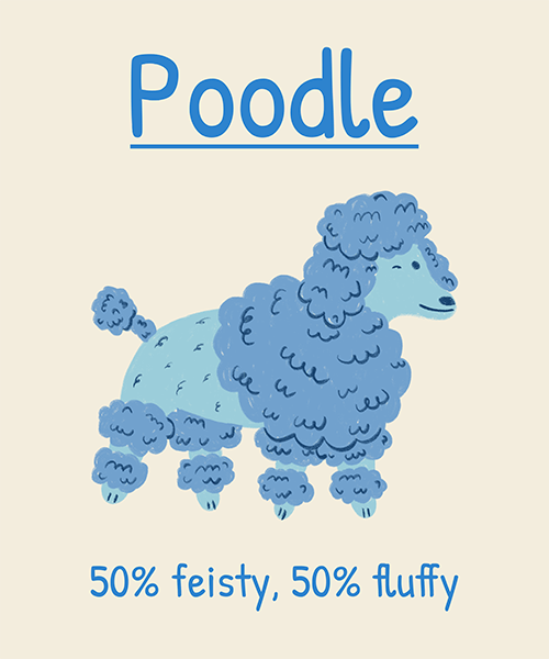 Dog Personalities Themed T Shirt Design Maker Featuring An Illustrated Poodle