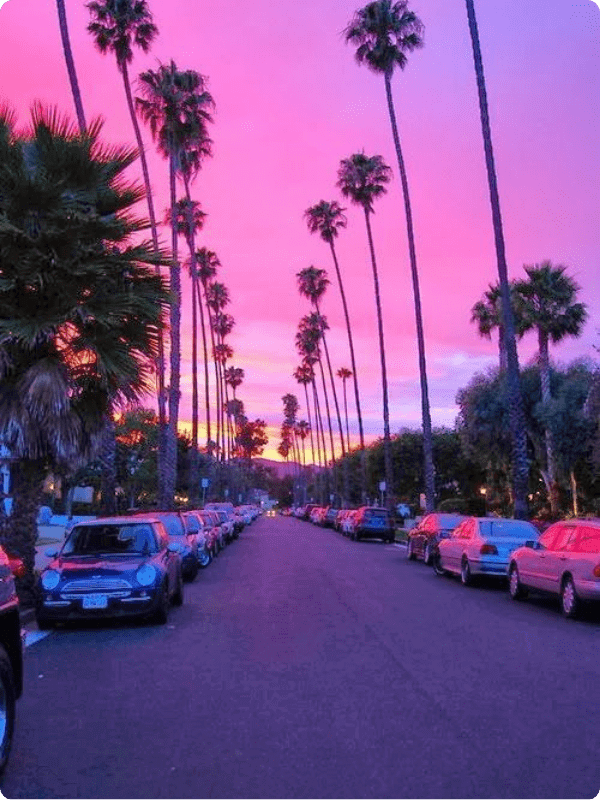 A View Of A Street In Los Angeles With A Purple Sunset And Palms In The Background