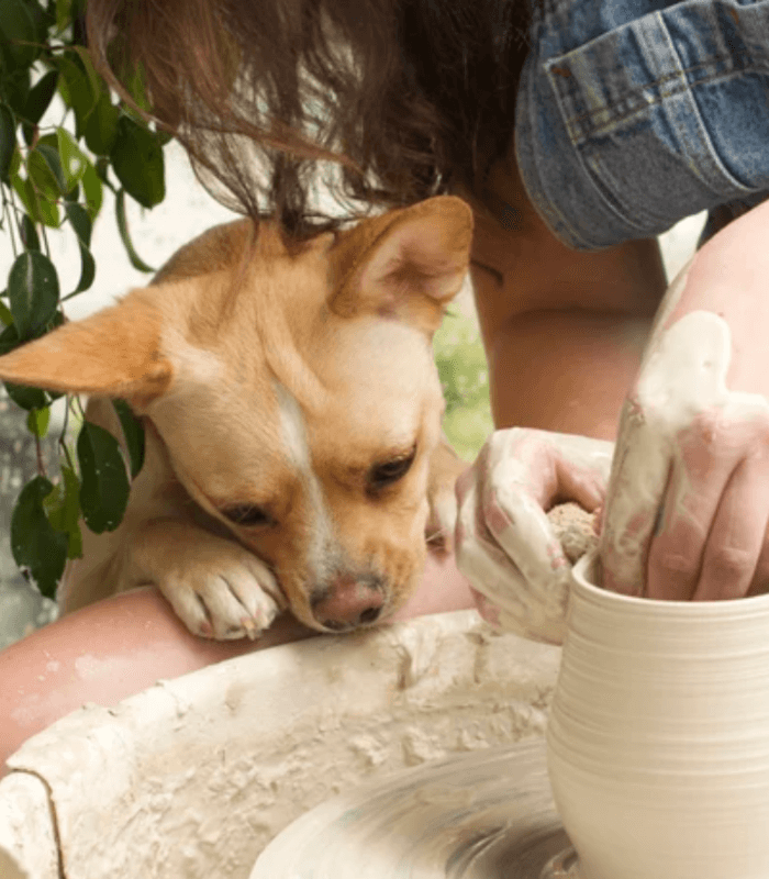 Whimsybywyeth’s Cute Little Dog Assistant