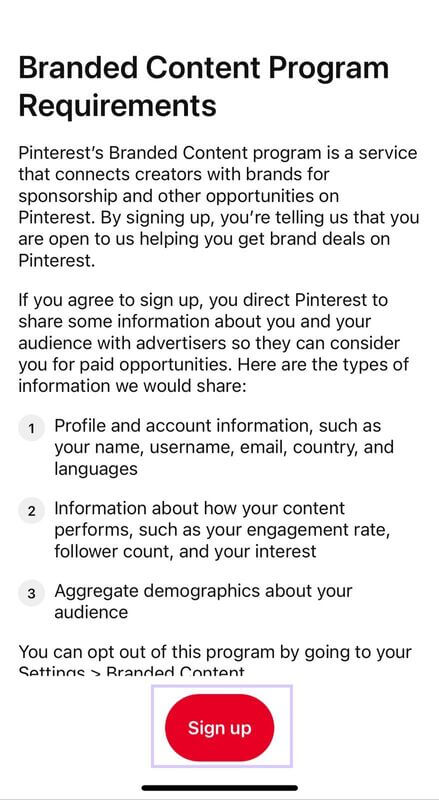 Branded Content Program Requirements For How To Make Money On Pinterest Guide