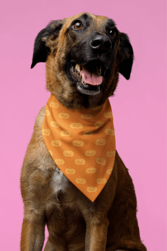 Mockup Of A Sublimated Halloween Bandana Featuring An Adorable Dog