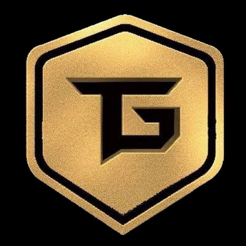 Techno Gamerz Logo As An Example Of A Good Gaming Logo