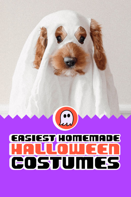 Pinterest Pin Maker For Easy Homemade Halloween Costume Ideas For Pets