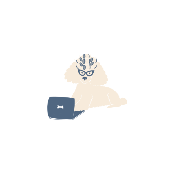 Illustration Of A Poodle Wearing Glasses And Using A Laptop