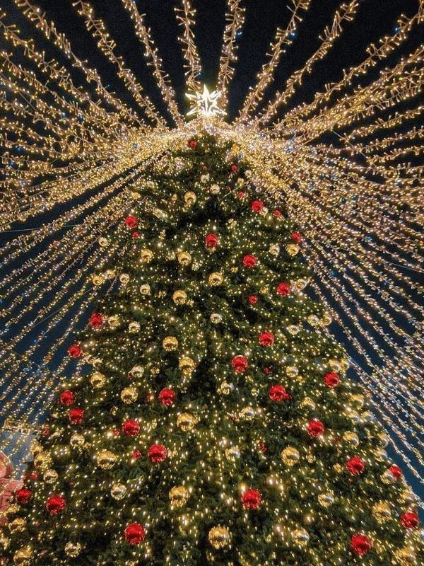 A Magical Christmas Tree Illuminated With Tons Of Christmas Lights