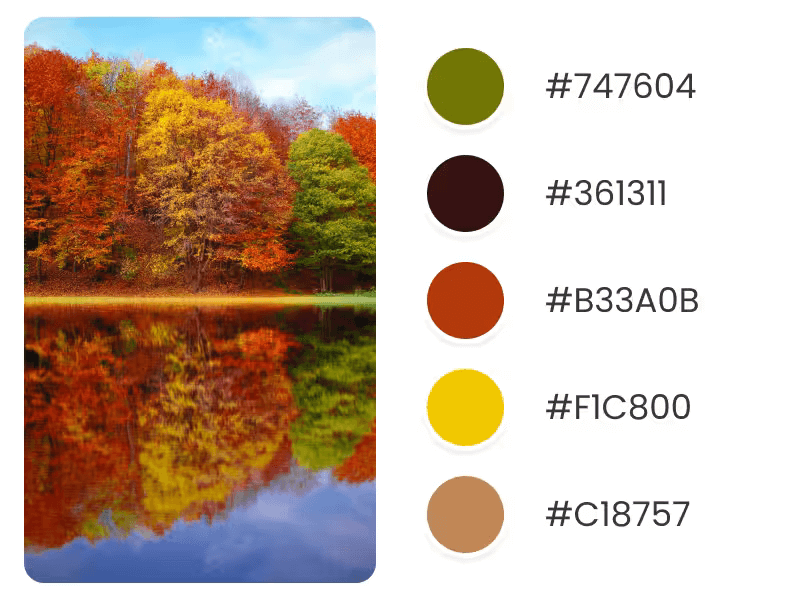 Fall Color Palette For Holiday Trends Inspired By Changing Trees