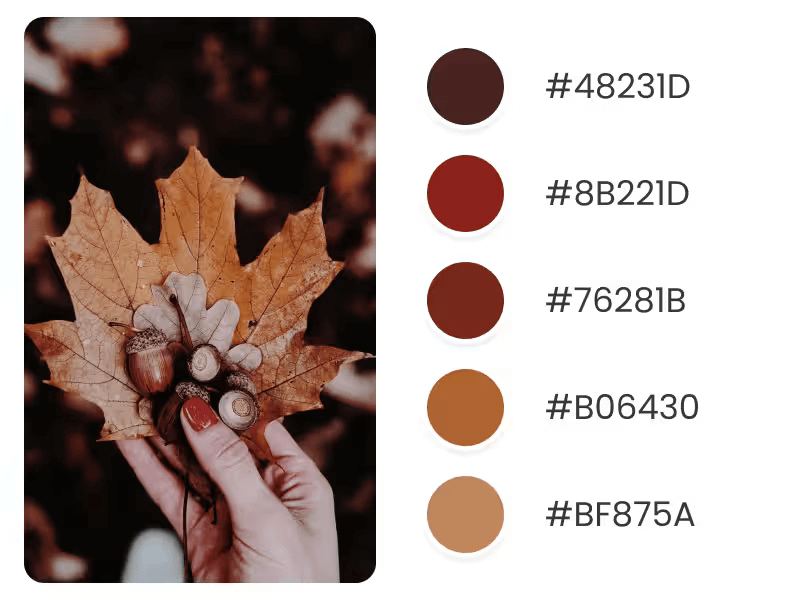 Fall Color Palette For Holiday Trends Inspired By Leaves