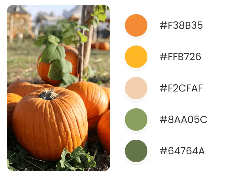 Fall Color Palette For Holiday Trends Inspired By A Pumpkin