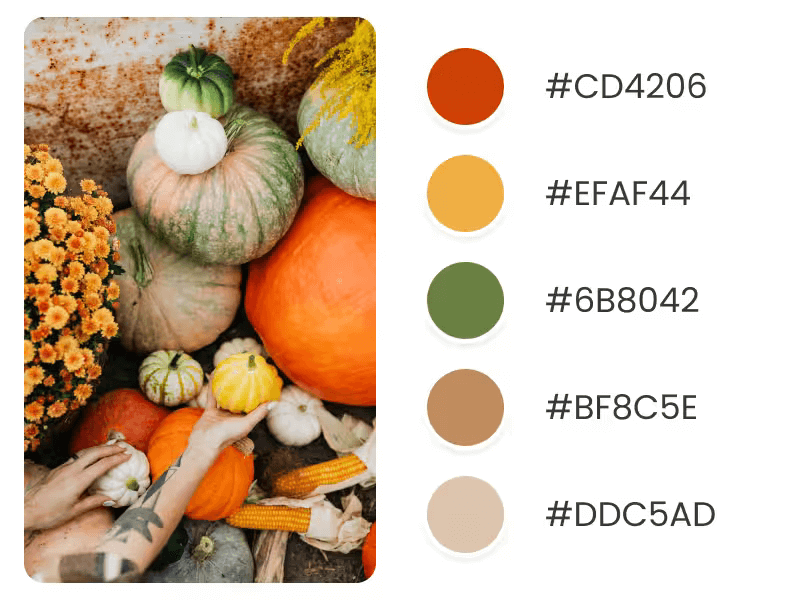 November Color Palette For Holiday Trends Inspired By Different Pumpkins