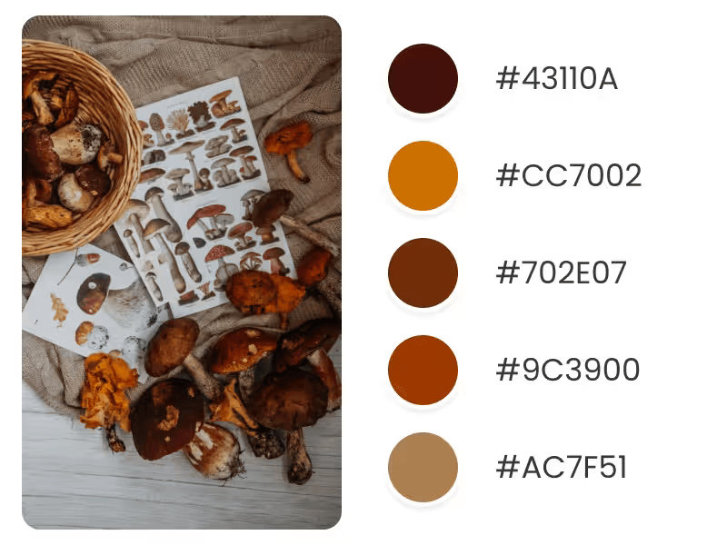 November Color Palette For Holiday Trends Inspired By Mushrooms